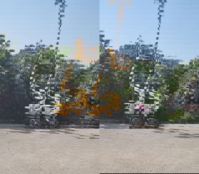 לקטלוג במות ההרמה של ליפטר