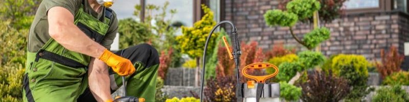 קוברה הדברות